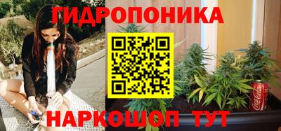 соль ск Обнинск