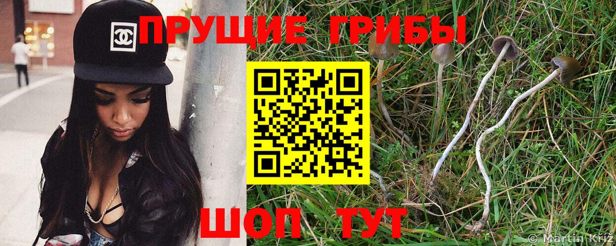 Псилоцибиновые грибы мицелий  Вход с VPN  Хабаровск 